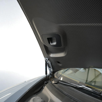 GT4 RS STYLE HOOD - PORSCHE 981/718 GT4 DRY CARBON FULL FUNCTIONAL BONNET